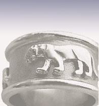 Titanium Wedding Ring - Titanium Wedding Band - absolutetitanium.com