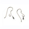 Titanium Earrings Ti Drops