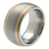 Titanium Ring - Duet Flush Inlay