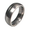 Titanium Ring - Groove Bounded Inlay